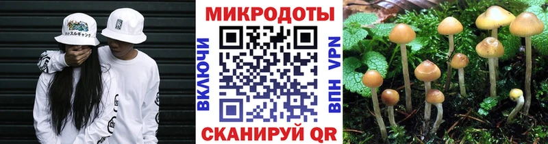 Купить где  Красновишерск  Галлюциногенные грибы мухоморы 